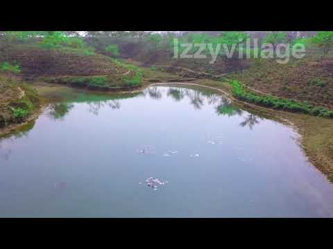 Shamshernagar Camillia Lake Area in Bangladesh Izzyvillage