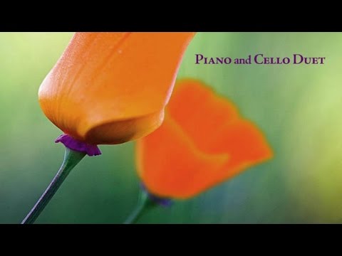 Brian Crain - Piano and Cello Duet (Full Album)