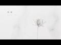 睡蓮 Water Lily｜Piano & White Noise for Deep Focus (Philip Glass Rework)