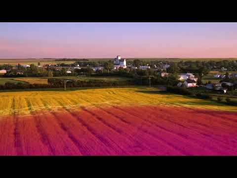 Kelly Knapp vs. Jason Jacobson - A-Qualifier - SaskTel Curling Stadium SCT Players' Championship