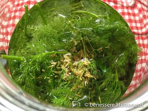 Ciclo di vita di sviluppo di un parassita Come combattere contro parassiti di funghi in un organismo