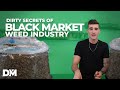 Dirty Secrets Of The Black Market Weed Industry | Sprayed Hemp | InsiderInfo002