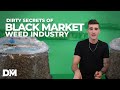 Dirty Secrets Of The Black Market Weed Industry | Sprayed Hemp | InsiderInfo002 - DistroMike Dirty Secrets Of The Black Market Weed Industry | Sprayed Hemp | InsiderInfo002