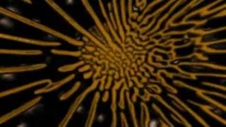 Mother Love Bone - Crown of Thorns