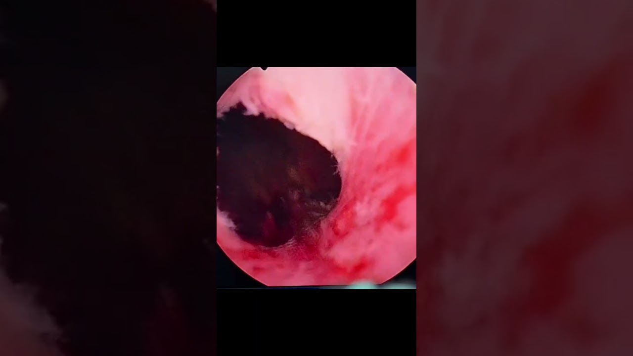 Lázaro Sánchez Vicuña-16