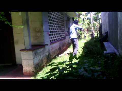 Dream of Dragon  Highway NJ Dreams season 2