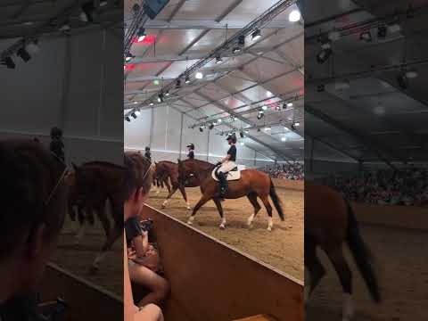 Reitstall Bühl YouTube-Vdeominiatur 19