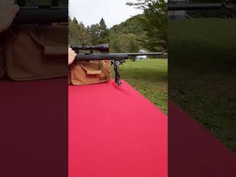 Savage Arms 93R17 Rifle Review and Accuracy Test