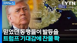 [자막뉴스] 반기 든 동맹들...트럼프 기대와 다르게 '싸늘' / YTN