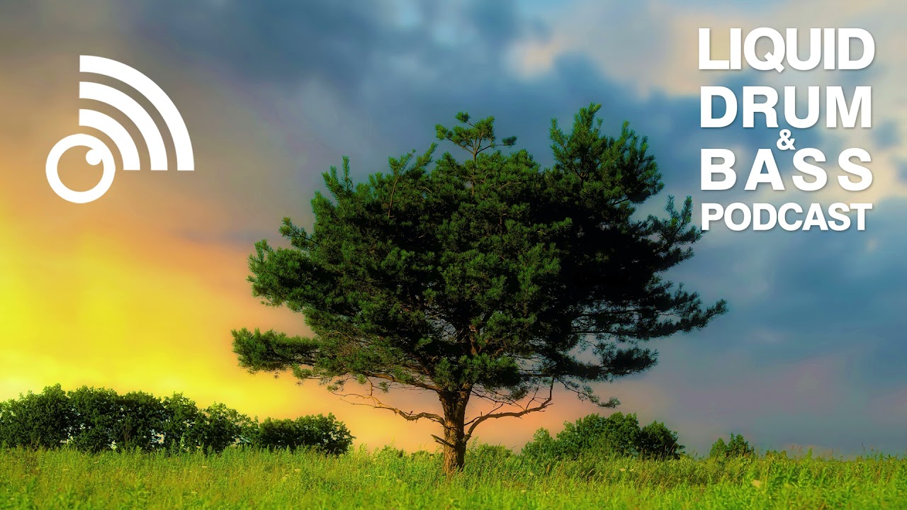 Fokuz Recordings Podcast #91 - Sub:liminal [November 2021]