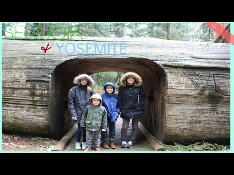 Sequoia and Yosemite National Parks Vacation Vlog! Video