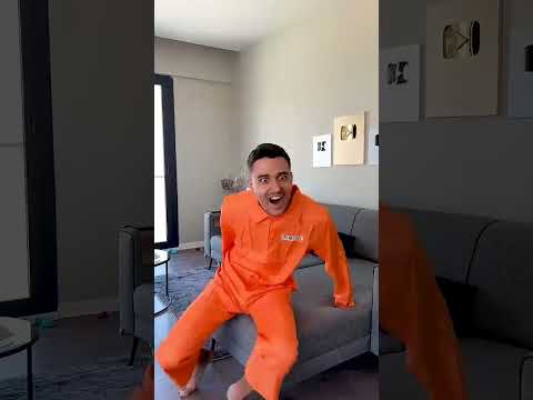 CAT and DOMINO 😂 #shorts