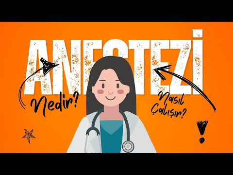 WHAT IS ANESTHESIA AND HOW DOES IT WORK?