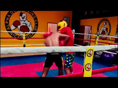 Guanteo Geovanny Tellez vs Marvin Solano - Alpha Dog Boxing Club