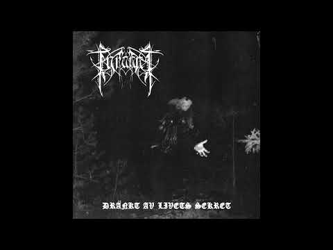 Tyranni - Dränkt av Livets Sekret (Full album) 2024