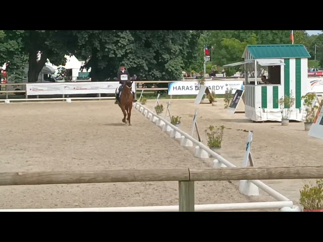 A vendre jument SF 9 ans pour loisirs