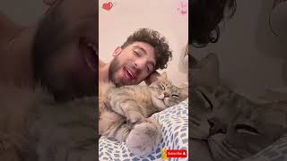cat english #funny #catcute cat #catfunny #catvideos #catshorts  #animalfacts #pets