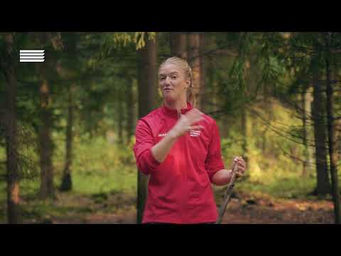 Aktiva barn - träningsintro