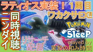 ニンダイ見ながら！【#ポケモンスリープ】ラティオス実装リサーチ配信＆みんなー！一緒に見るぞ！！ワカクサ本島EX＋８５％Plus+所持。無課金な中堅勢？によるPokémon Sleepのんびり実況♪