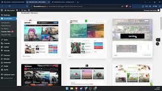 Wordpress Tema Yükleme , Tema Özelleştirme