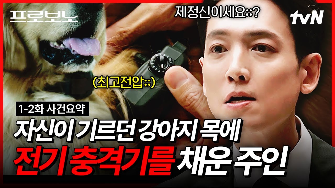 [#프로보노] ※해설 있음※ 자신이 기르던 강아지에게 이런 짓까지 한다고🤬 강아지를 학대하는 주인에?