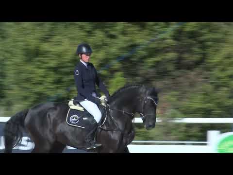 Velká cena Martinice Group – Videozáznam ČSP 2019 Martinicích