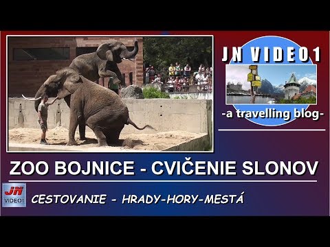 ZOO BOJNICE - CVIČENIE SLONOV