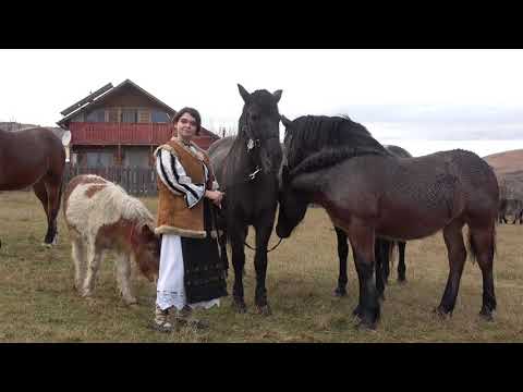 Caii lui Sorina de la Turda, Cluj - 2021 Nou!!!