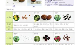 [초등과학 4-1 무료강의] 3. 식물의 한살이 ① 여러 가지 씨를 관찰해 볼까요?