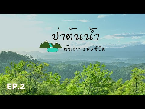 ป่าต้นน้ำห้วยต้นยาง