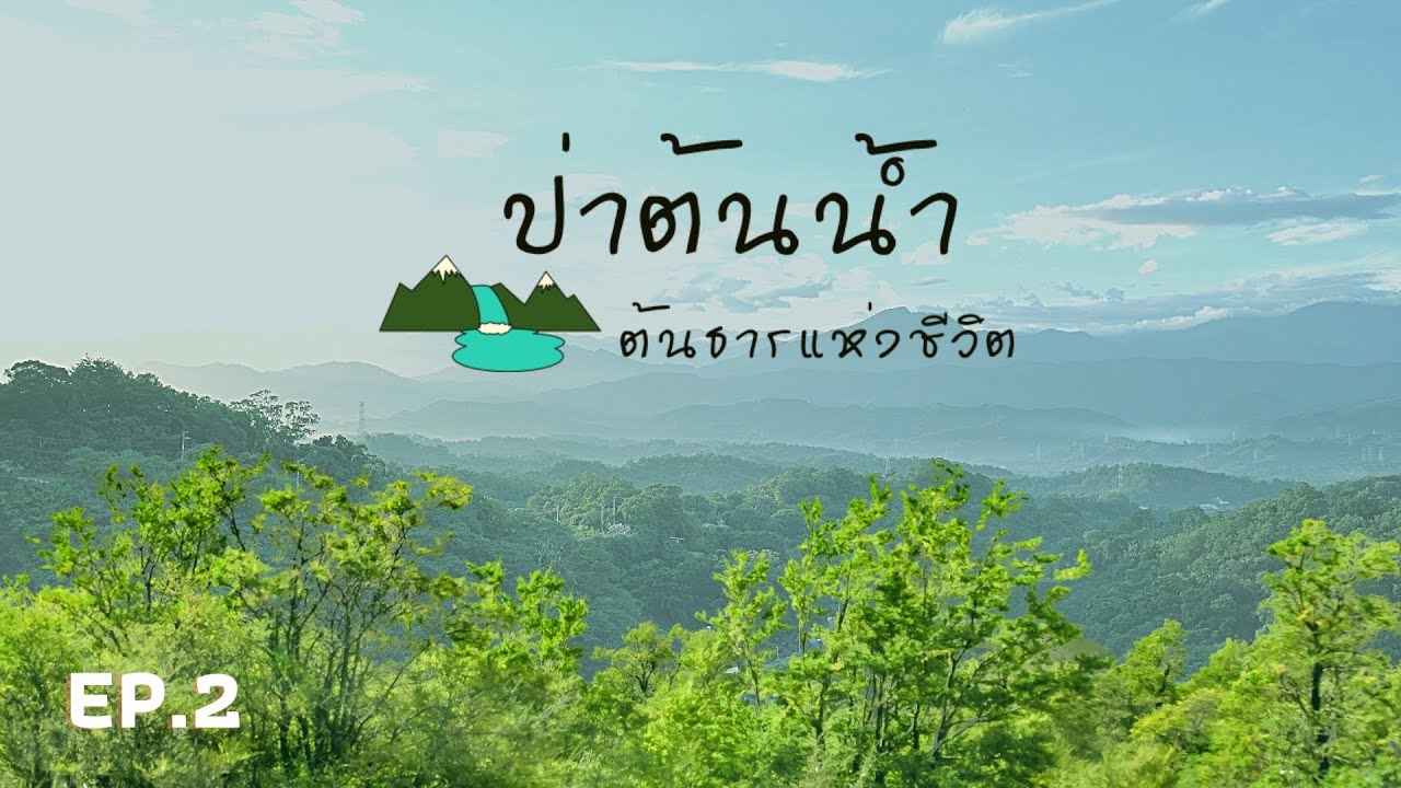 ป่าต้นน้ำห้วยต้นยาง