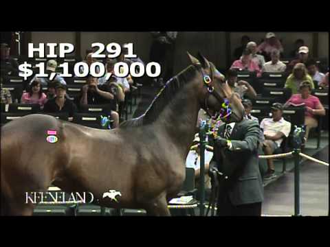 2013 September Yearling Sale - Hip 291- Bernardini-Pacific Spell filly