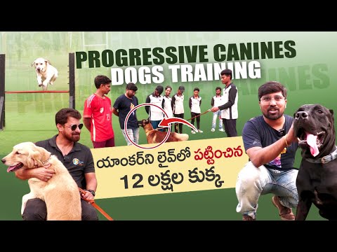 Mantravadi Chandrasekhar About Most Expensive Dog | Progressive Canines Dog Training |Great Dane Dog