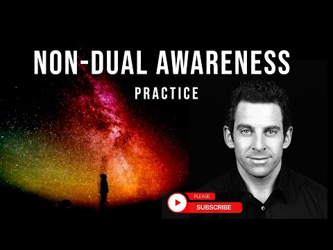 Staying in Non-Dual Awareness - Sam Harris