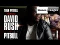 Team Pitbull Feat. David Rush & Pitbull - All ...