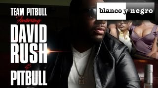 Team Pitbull Feat. David Rush &amp; Pitbull - All Night (Starkillers Remix) Official Audio