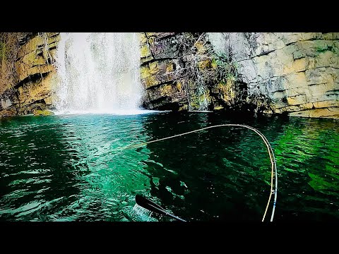 Huge trout under the falls (Watauga River)
