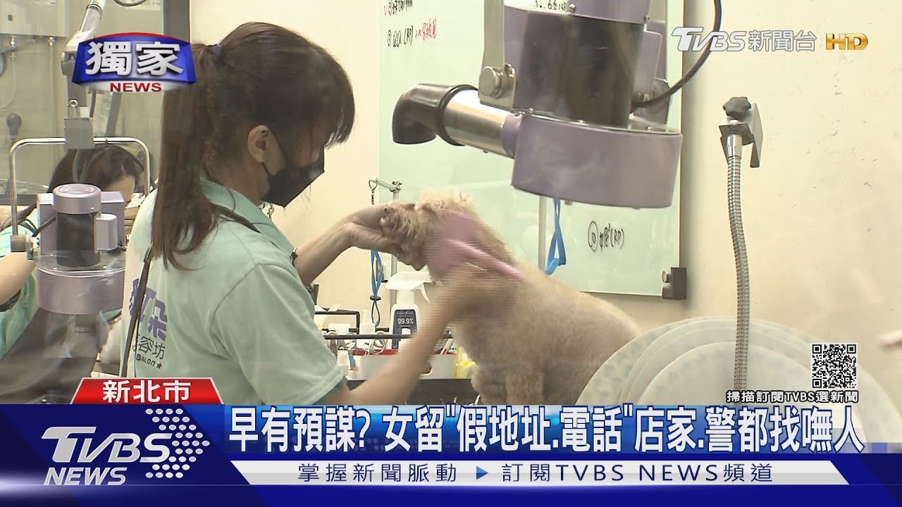 等嘸主人!毛孩送美容沒接走 「疑棄養」店家轟