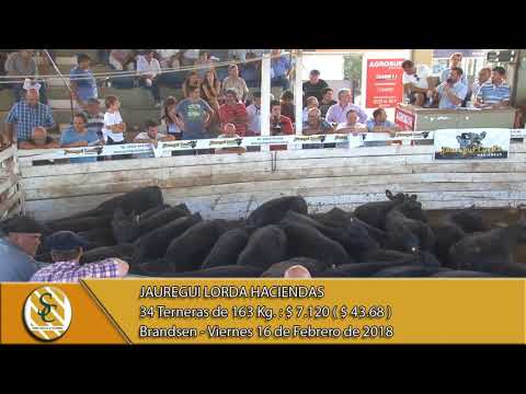 16-02-18 Venta de Hembras - Jauregui Lorda Haciendas - Brandsen