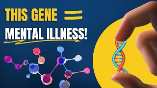 Genetics and Mental Health: The MTHFR Gene