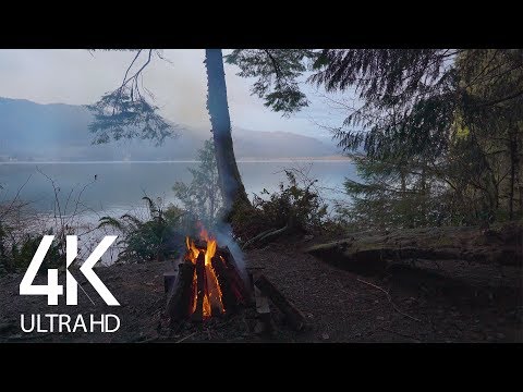 4K Campfire at the Mountain Lake with Calming Crackling Fire Sound - 8 Hours