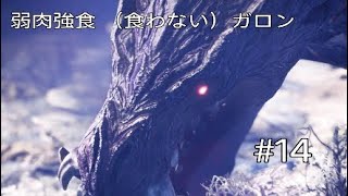 モンハンワールドアイスボーン　MHWIB 　#14　原種軽視を許すな　オドガロン亜種　モンスターハンターワールド