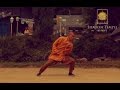 Shaolin 13 Luohan Rou Quan Routine ·  柔拳羅漢十三式