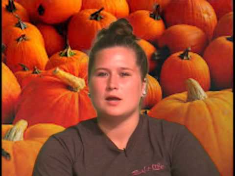 October 27, 2016:  The Morning Rays