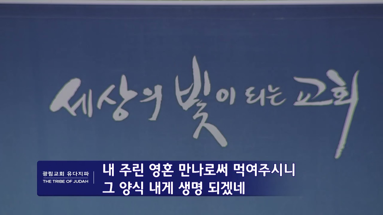 기본썸네일이미지