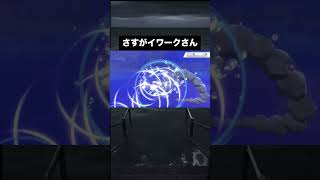さすがイワークさん