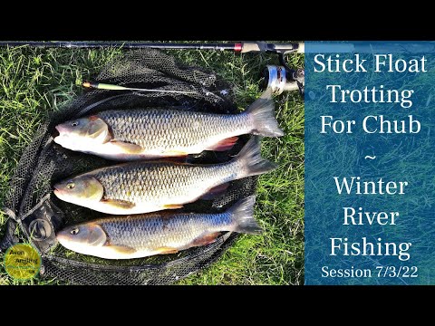 Trotting For Chub On The Stick Float - Winter Small River Fishing - 7/3/22 (Video 308)