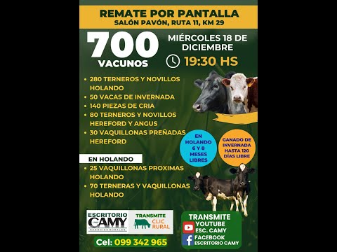 18/12/2024  Pantalla Camy (Pantalla) - Salón de Paraje Pavón - San José