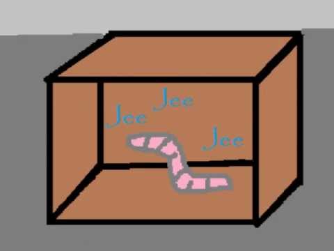 Apulanta - Kilpikonna (The Singing Ants Music Video ft. Mato)