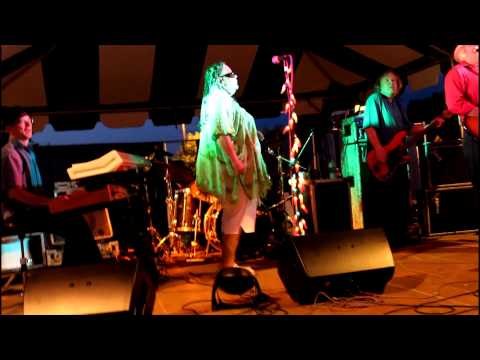 3rd Annual Diamond Teeth Mary Blues & Arts Festival - FYIHuntington.com